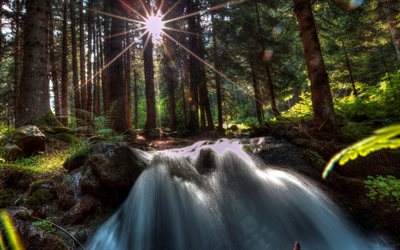 forest, waterfall, the rays of the sun, river