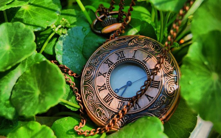 time, old clock, pocket watch