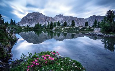 i fiori, con tempo nuvoloso, la sera, gori, montagne, lago di montagna, pokhara meteo