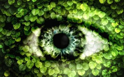 los ojos, las hojas, los conceptos del medio ambiente, la ecología