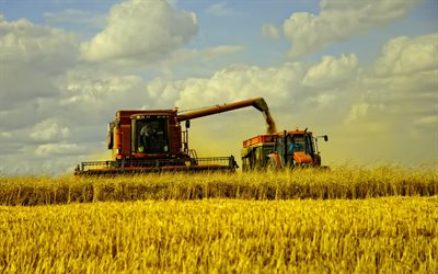 la cosechadora, la cosecha, el tractor, el trigo