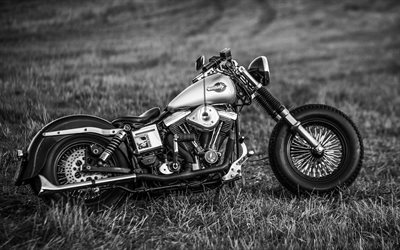 Harley-Davidson, fresco motocicletas