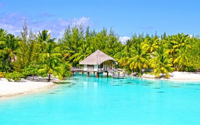 islas, elegante playa, bungalow, isla tropical, palmeras
