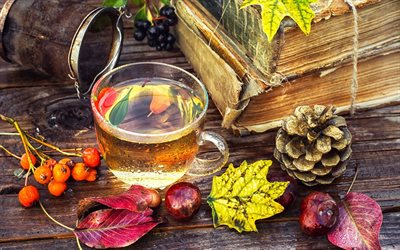autumn, leaves, cup of tea, old books, chestnuts