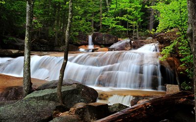 río piedras, bosque privado, cascada