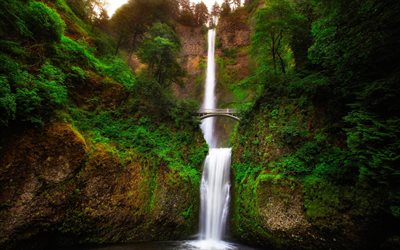 cachoeira, oregon, multnomah, floresta, belas cachoeiras, eua