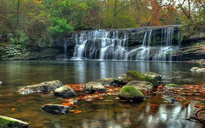 flod, vattenfall, stenar, skog, friskhet