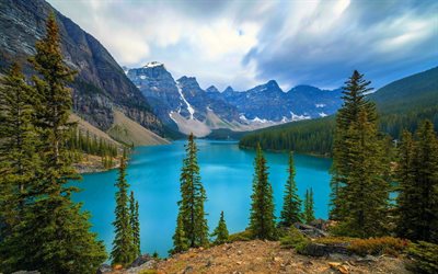 canadá, montanhas, floresta, lago azul, morraine