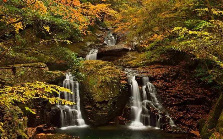 forest, trees, waterfall, autumn, water