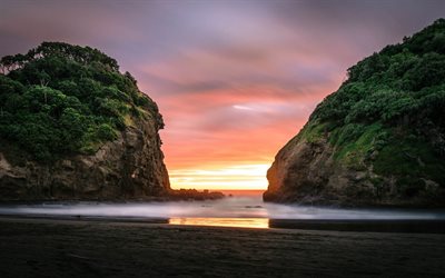 bethells beach, 바, 뉴질랜드, 새벽, 해변, 오클랜드