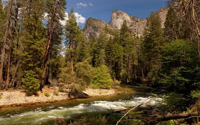 river, forest, mountains, usa, yosemite, california