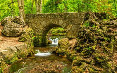 corrente, ponte de pedra, floresta, parque, rio