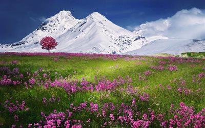 las montañas, la nieve, el verano, el paisaje de montaña