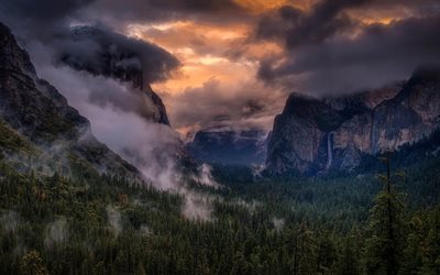 usa, forest, rock, california, mountains, national park, fog, yosemite