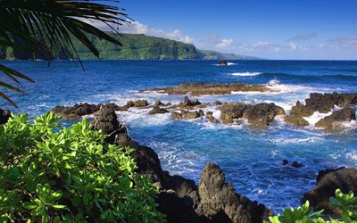 el océano, hawaii, costa, orilla, hannah carretera, maui