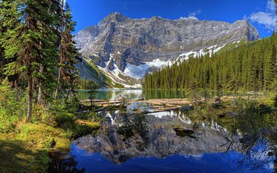 the lake, forest, mountains, blue sky