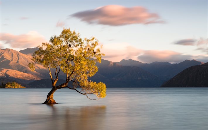 نيوزيلندا, الجبال, البحيرة, واناكا, الفجر, صباح, أوتاجو