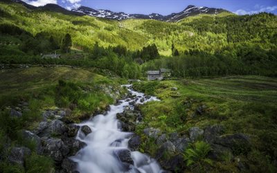 forest, mountains, stream, the hardanger, odda, norway, hardangervidda, the sky, give