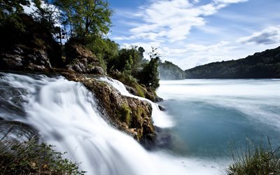 suiza, cataratas del rin, la costa, las cataratas del rin, cascada, bosque, verano, río
