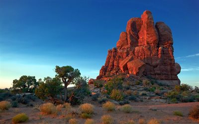etats-unis, canyon, coucher de soleil, orange rochers, arizona