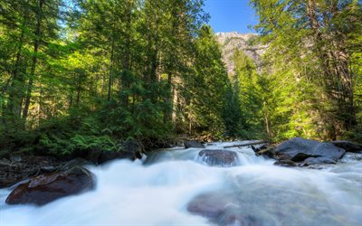 whitewater river, forest, rock, mountain stream, mountains, usa, montana