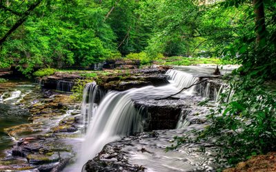 river, forest, waterfalls, freshness
