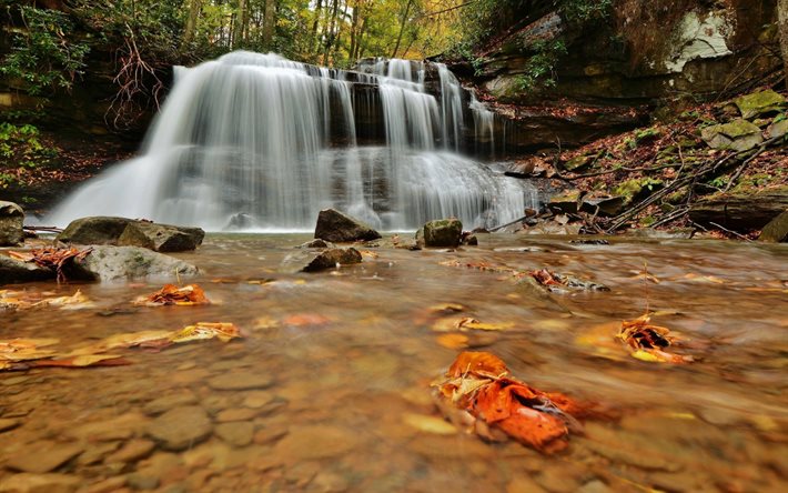 otoño, la cascada, las hojas, el arroyo, el follaje, la corriente