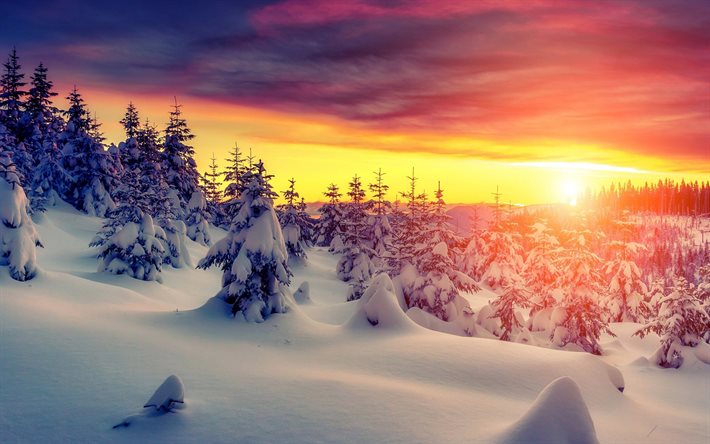 berg, snö, solnedgång, träd, vinter, vinterlandskap