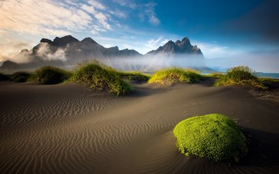 朝, 砂, ロック, 夜明け, ビーチに, レイキャビク, アイスランド