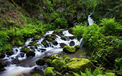 mountain stream, stones, thickets, waterfall, forest, the black forest, germany, ravenna gorge, black forest