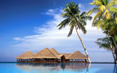 el mar, bungalow, isla tropical, palmeras