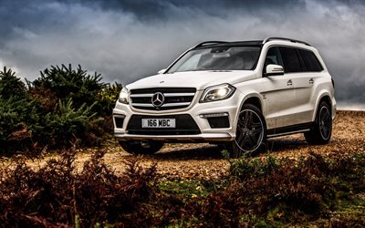 amg, gl63, mercedes-benz, tuning, suv, mercedes, sc-speciale