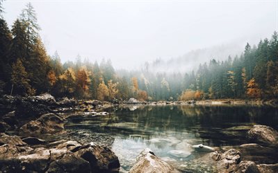 les arbres, le lac, la forêt, paysage d'automne, d'automne, alinci, bois