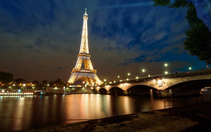 フランス, パリの, 川, 夜, エッフェル塔, 草