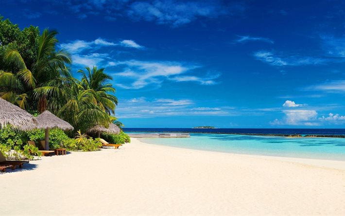 el mar, palmeras, árboles tropicales de la isla, de arena