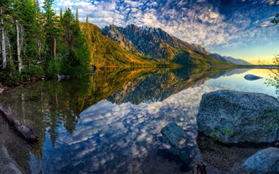 森林, 朝, 湖, 山々, ジェニー湖, ワイオミング州, 米国