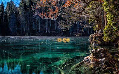emerald lake, forest, blue water, autumn