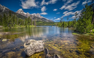 वन, पेड़, झील, साफ lake, संयुक्त राज्य अमेरिका, teton राष्ट्रीय उद्यान, ग्रांड teton राष्ट्रीय उद्यान, व्योमिंग
