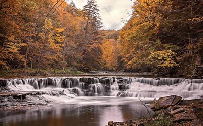 l'automne, cascade, forêt, rivière, paysage d'automne, privé
