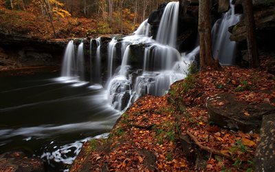 autunno, bosco, cascata, brush creek falls, virginia occidentale, wv, stati uniti