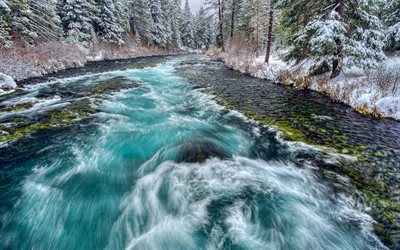 snow, rough river, forest, river, usa, winter, raging river