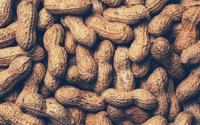 peanuts, nuts, walnut
