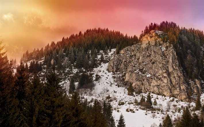 ルーマニア, ツリー, carpathians, 雪, 冬, 山々, 氏Kamenetz-Podolsk, 雲
