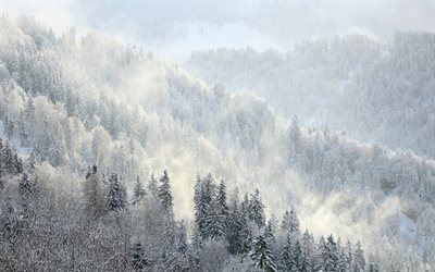 berg, bergens sluttningar, vinterlandskap, snö, träd, gori, alinci