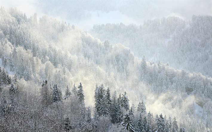 산, 의 슬로프 산, 겨울 풍경, 눈, 리, gori, alinci