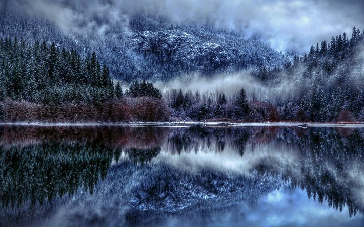 le lac, nature, hiver, paysage d'hiver