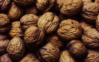 nuts, walnut, food