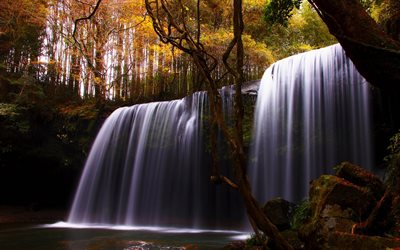 forest, waterfall, the lake, beautiful scenery