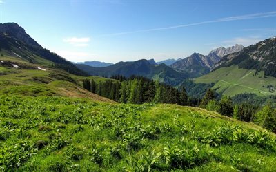 mountains, summer, the green slopes, forest, tree, gori, alinci
