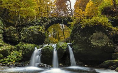 forest, the bridge, fiume, cascata, black ernz river, müllerthal, luxembourg, luxembourg switzerland